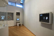 Installation view of Elegant Armor: The Art of Jewelry at the Museum of Arts and Design, New Yo…