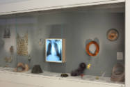 Installation view of Elegant Armor: The Art of Jewelry at the Museum of Arts and Design, New Yo…