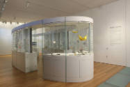 Installation view of Elegant Armor: The Art of Jewelry at the Museum of Arts and Design, New Yo…