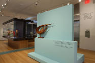 Installation view of Intertwined: Contemporary Baskets from the Sara and David Lieberman Collec…
