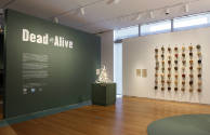 Installation view of Dead or Alive at the Museum of Arts and Design, New York (April 27–October…