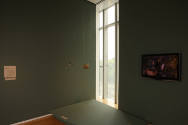 Installation view of Dead or Alive at the Museum of Arts and Design, New York (April 27–October…
