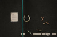 Installation view of A Bit of Clay on the Skin: New Ceramic Jewelry at the Museum of Arts and D…