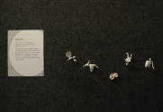 Installation view of A Bit of Clay on the Skin: New Ceramic Jewelry at the Museum of Arts and D…