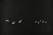 Installation view of A Bit of Clay on the Skin: New Ceramic Jewelry at the Museum of Arts and D…
