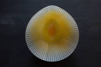 Yellow and white plate