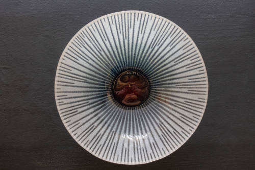 White and red center plate