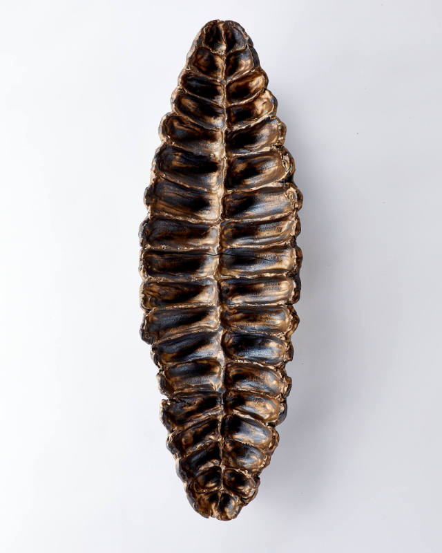 Photographer: Joshua Simpson. Courtesy the artist, copyright Eve Biddle.