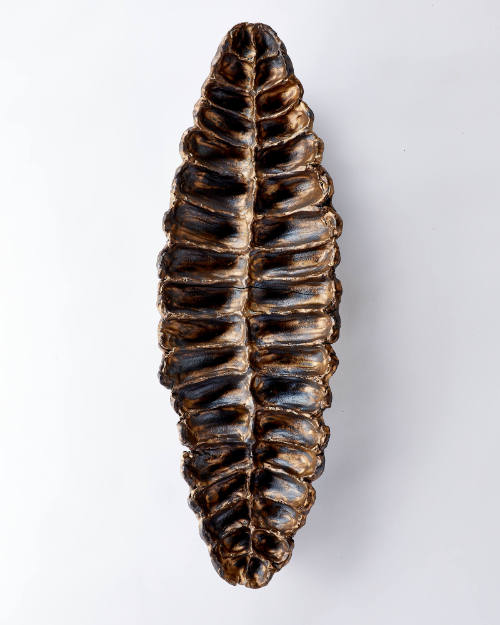 Photographer: Joshua Simpson. Courtesy the artist, copyright Eve Biddle.