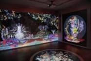 Saya Woolfalk: Empathic Universe