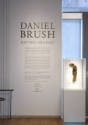 Daniel Brush: Blue Steel  Gold Light