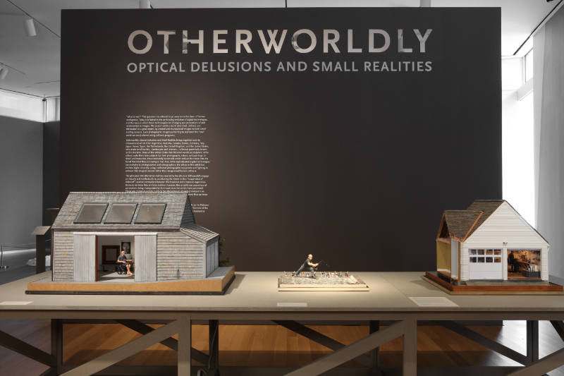 Otherworldly: Optical Delusions and Small Realities