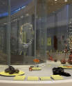 Installation view of Think Again: New Latin American Jewelry at the Museum of Arts and Design, …