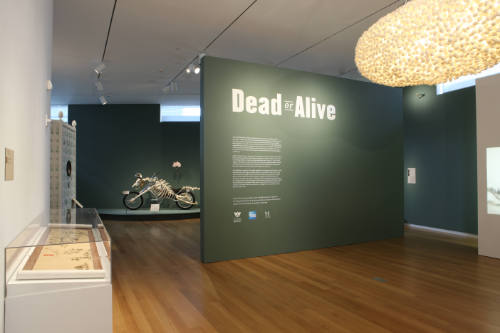 Installation view of Dead or Alive at the Museum of Arts and Design, New York (April 27–October…
