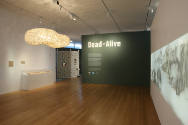Installation view of Dead or Alive at the Museum of Arts and Design, New York (April 27–October…