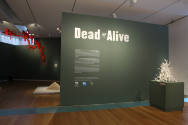 Installation view of Dead or Alive at the Museum of Arts and Design, New York (April 27–October…