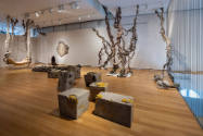 Dana Barnes: Untamed Gestures