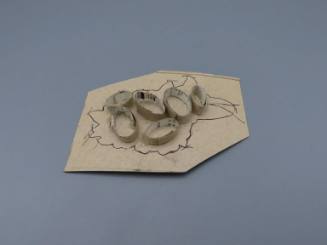 Drawing and accompanying materials for Corsage: Papaver Somniferum-Poppy