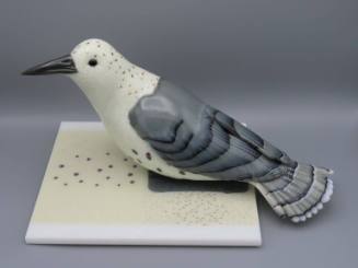 Avian Pair