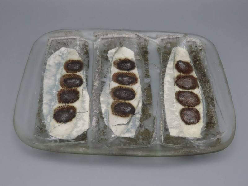 Plate