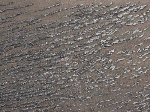 Signs in the Sand. The Black