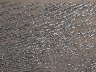 Signs in the Sand. The Black