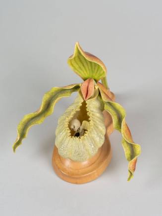 Forbidden Flowers #3