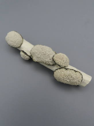 White Corticola Brooch from the Woodland series