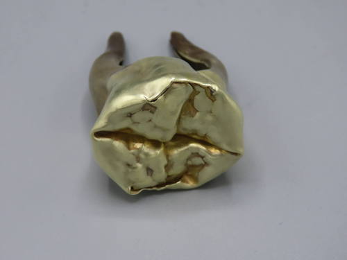 Goldtooth