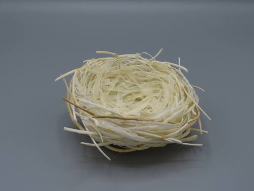 Birds Nest (Other)