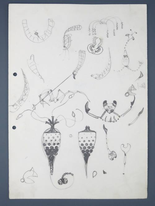 Drawing related to Untitled (brooch)