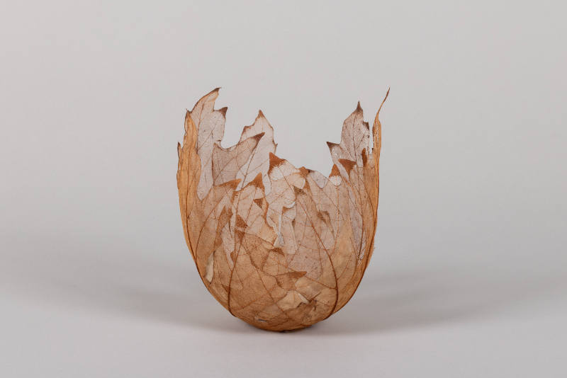 Leaf Vessel