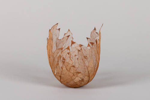 Leaf Vessel