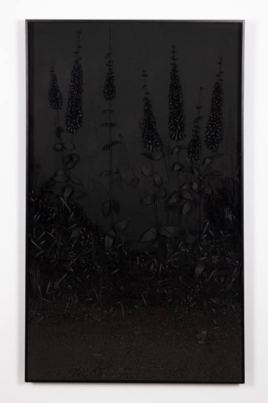 A Collection of Various Botanical Forms