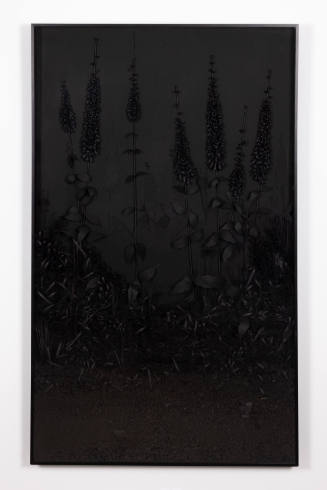 A Collection of Various Botanical Forms