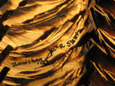 Photo Credit: Matthew Cox, 2007 