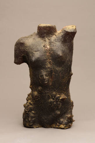 Torso