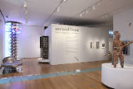 Installation view of Second Lives: Remixing the Ordinary at the Museum of Arts and Design, New …