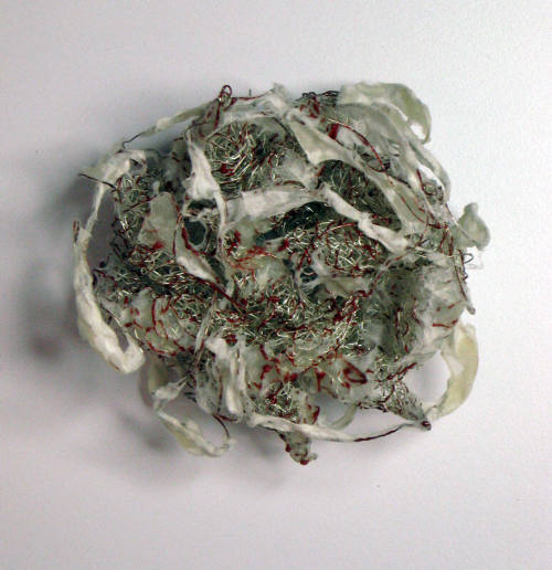 Nest
