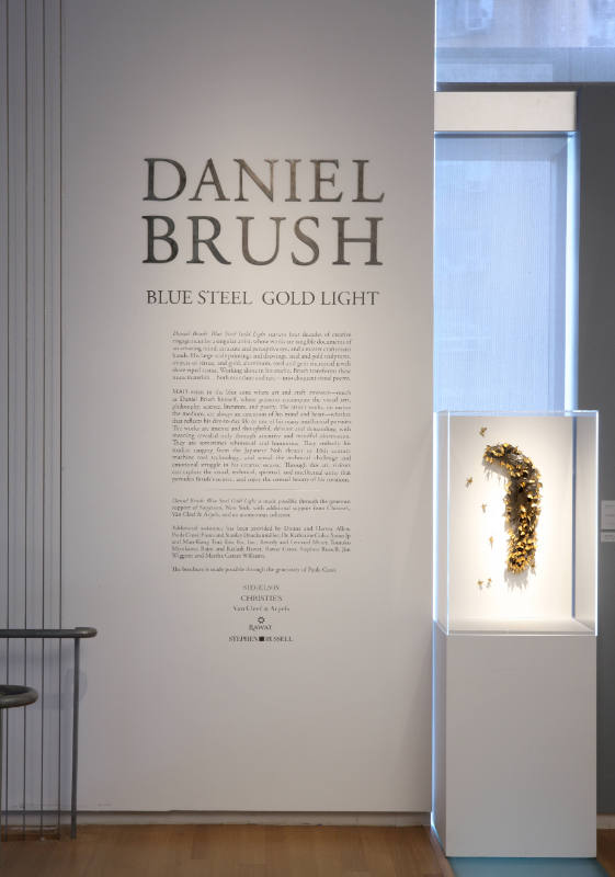 Daniel Brush: Blue Steel  Gold Light