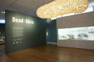 Dead or Alive: Nature Becomes Art