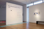 Abraaj Capital Art Prize 2009